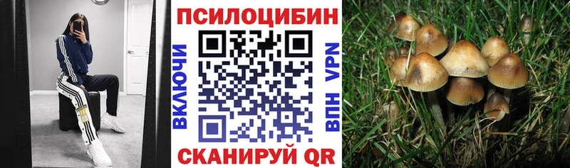 Галлюциногенные грибы мухоморы  купить наркоту  Чухлома 
